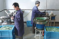 terminal-block-manufacturer.jpg
