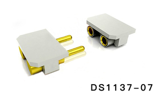 DS1137-07